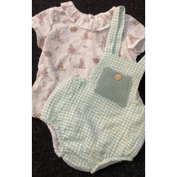 1528 Conjunto Irina Micolino