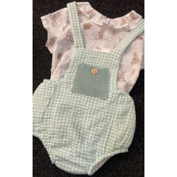 1529 Conjunto Irina Micolino