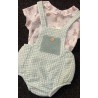 1529 Conjunto Irina Micolino